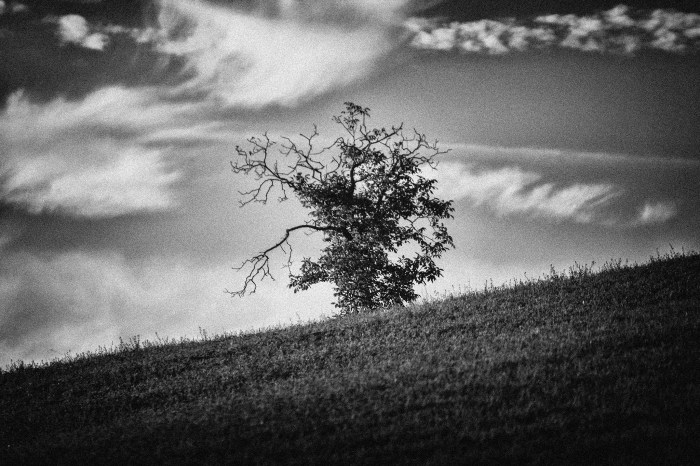 11741196_1065946726749552_2738651712002072794_o